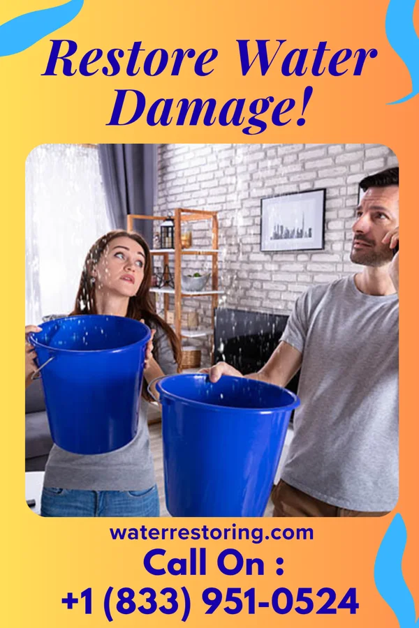 water restoration Royal Flood Mitigation Professionals Fitchburg