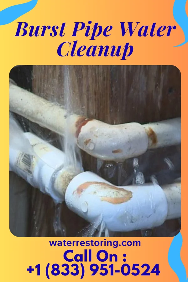 Burst Pipe Water Cleanup in Fitchburg, WI
