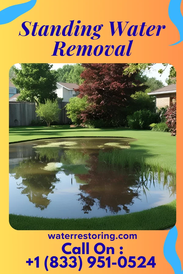 Standing Water Removal in Fitchburg, WI